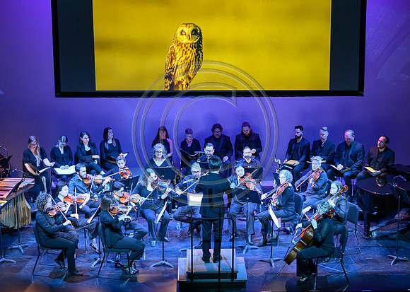 DSC_1274